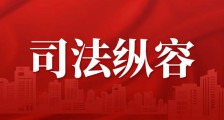 武汉市中级人民法院王丹红法官的判决书是枉法裁判的典范